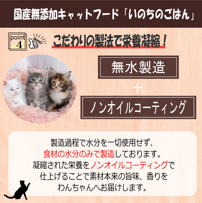 国産無添加キャットフード「いのちのごはん」タンパク質増量タイプ