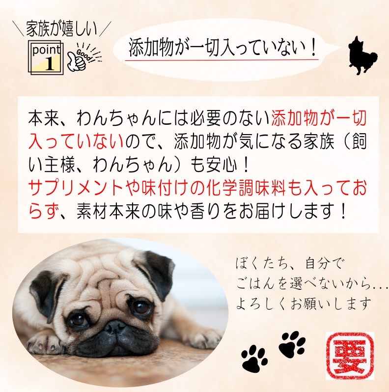 国産無添加ドッグフード「いのちのごはん」