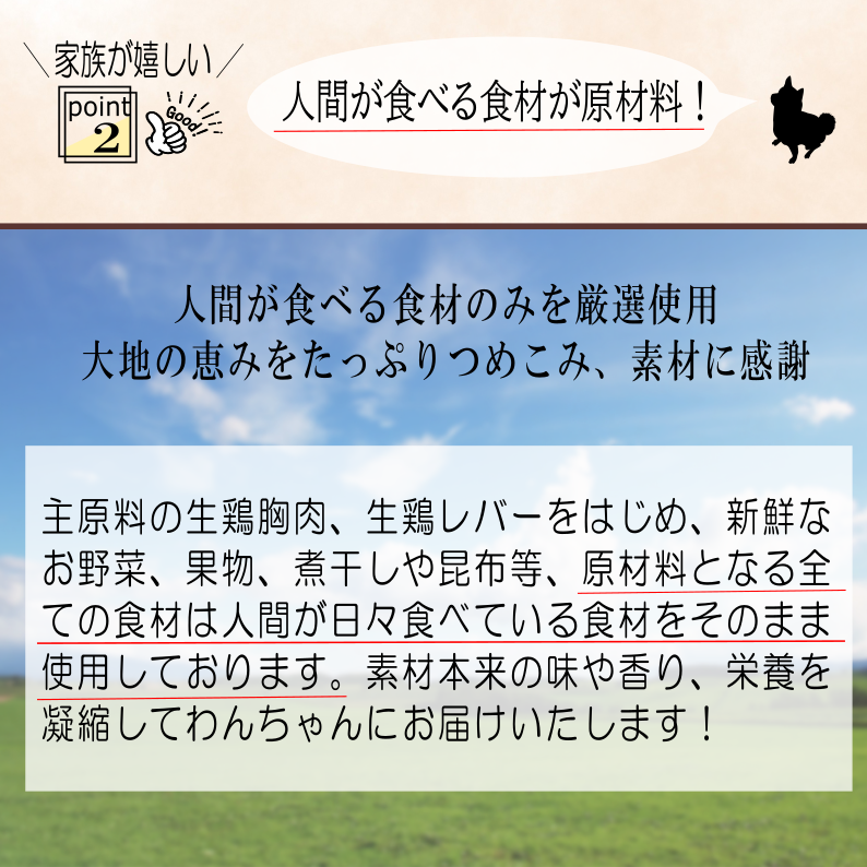国産無添加ドッグフード「いのちのごはん」